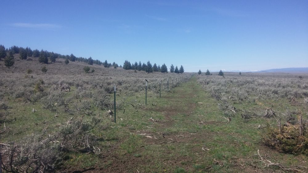 26,000 Acres, Kilgore, ID 83446
